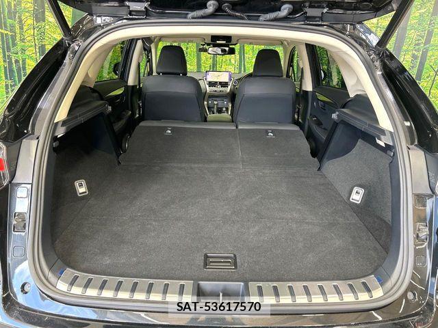 Lexus NX 2019-11 7725122-9