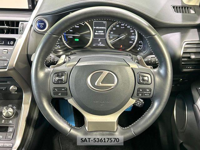 Lexus NX 2019-11 7725122-10