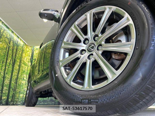 Lexus NX 2019-11 7725122-11