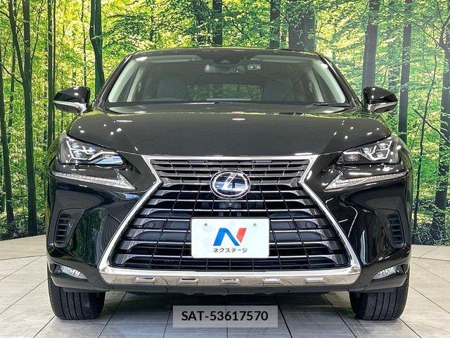 Lexus NX 2019-11 7725122-13
