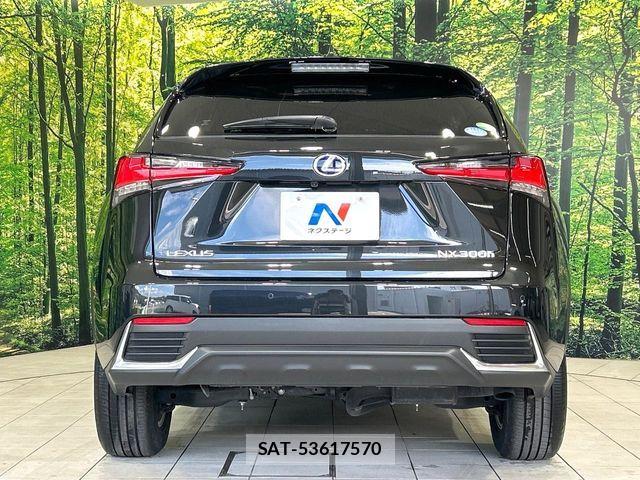 Lexus NX 2019-11 7725122-14
