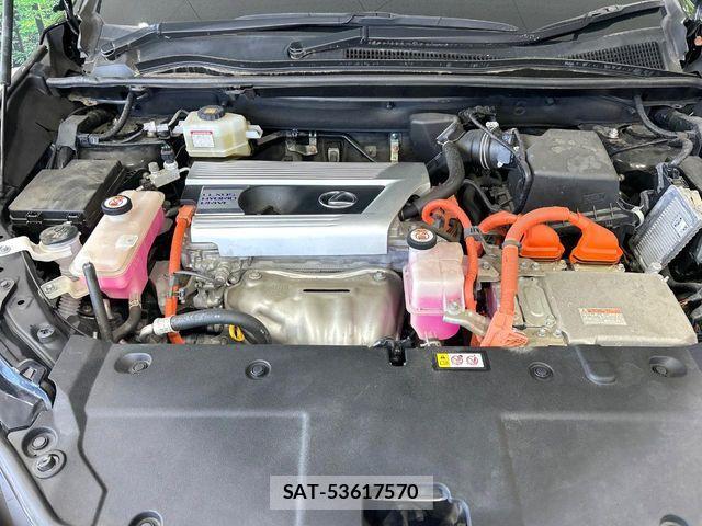 Lexus NX 2019-11 7725122-17