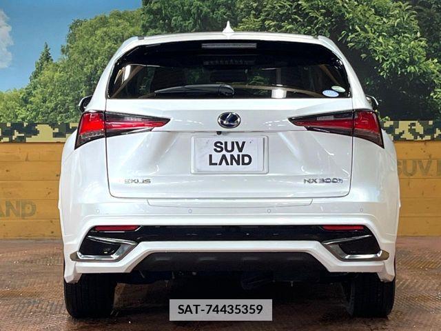 Lexus NX 2019-02 7725117-14