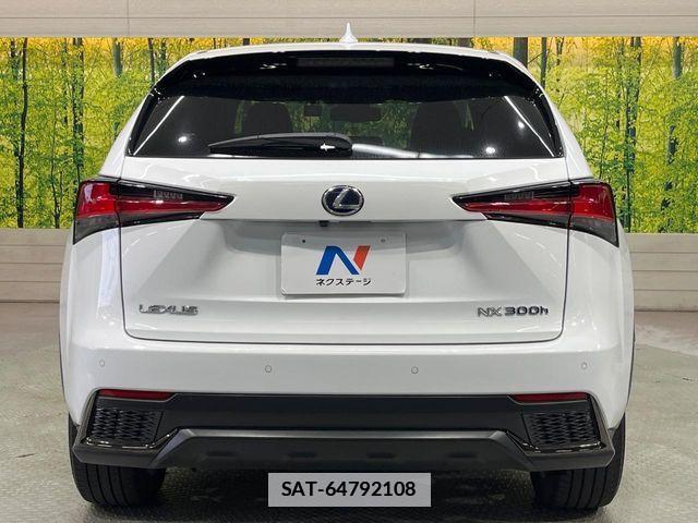 Lexus NX 2020-11 7725118-14