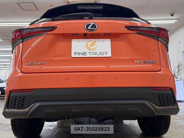 Lexus NX 2019-03 7786550-17