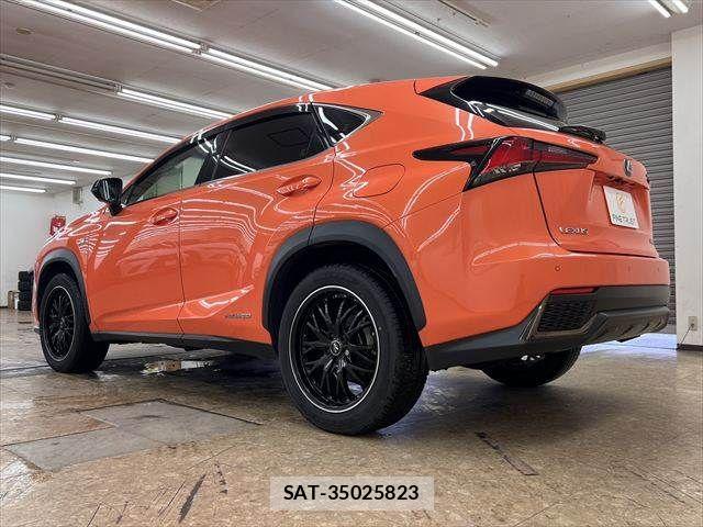 Lexus NX 2019-03 7786550-19
