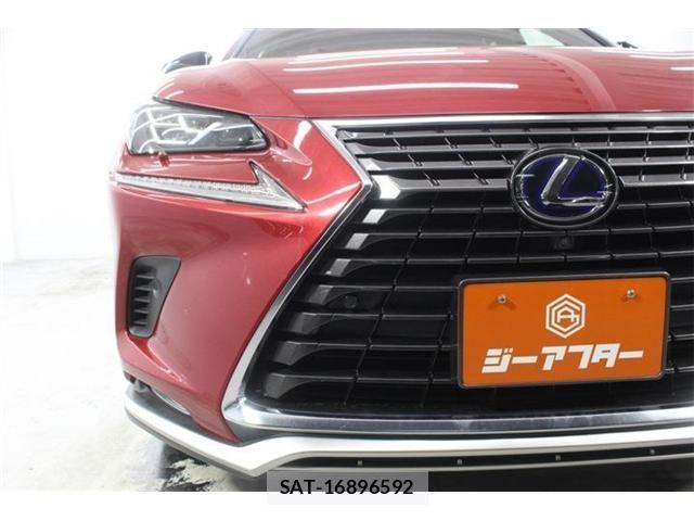 Lexus NX 2021-03 7786551-10