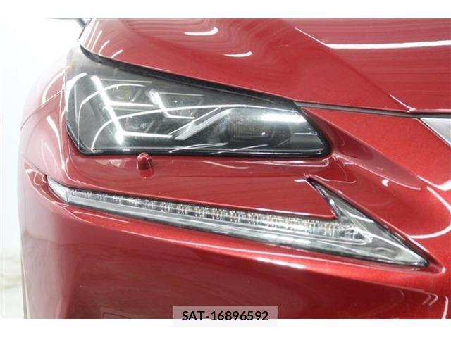 Lexus NX 2021-03 7786551-11