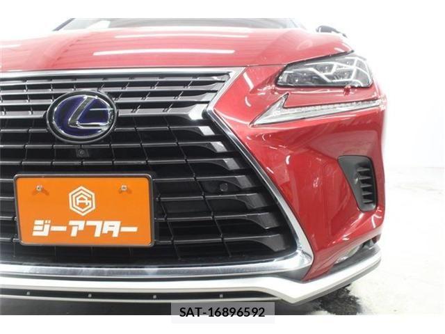 Lexus NX 2021-03 7786551-13