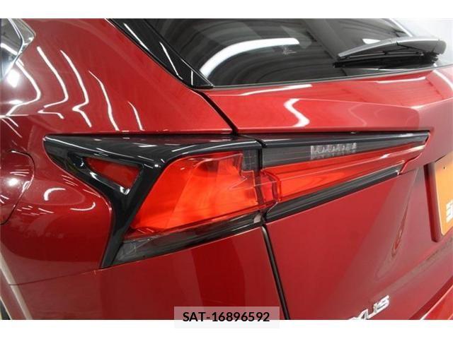 Lexus NX 2021-03 7786551-17