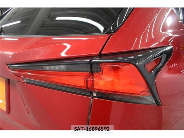 Lexus NX 2021-03 7786551-18