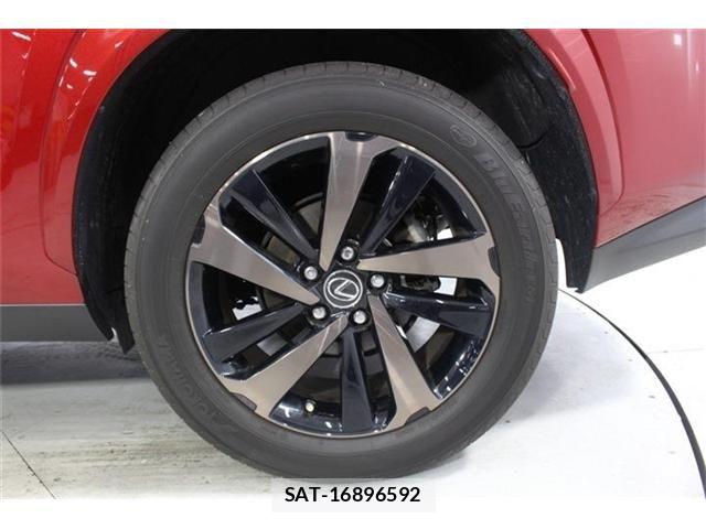 Lexus NX 2021-03 7786551-24