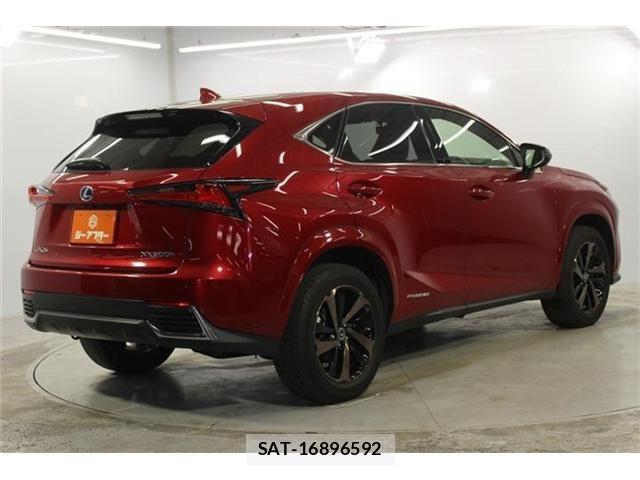 Lexus NX 2021-03 7786551-4