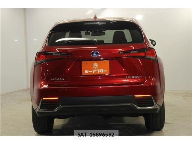 Lexus NX 2021-03 7786551-5