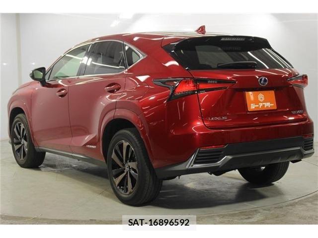 Lexus NX 2021-03 7786551-6
