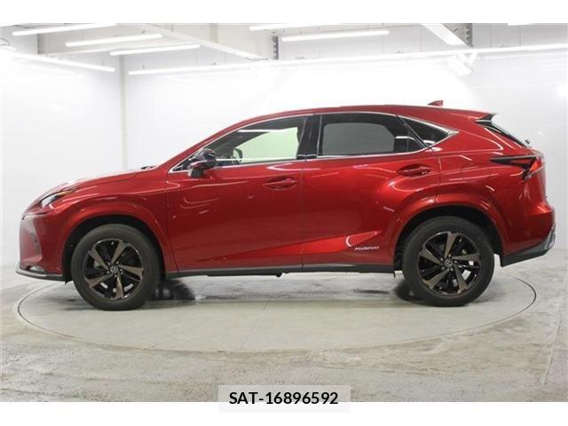 Lexus NX 2021-03 7786551-7