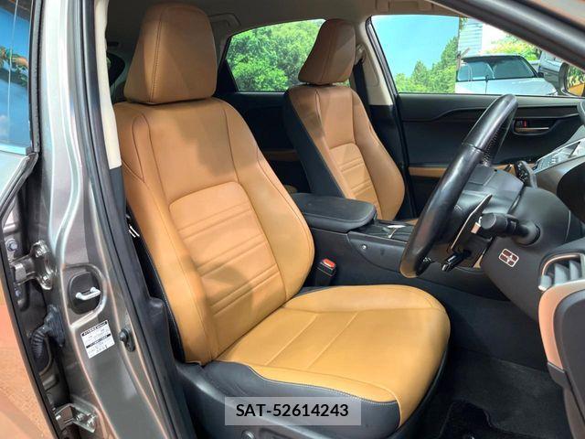 Lexus NX 2019-04 7877396-10