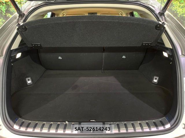 Lexus NX 2019-04 7877396-12