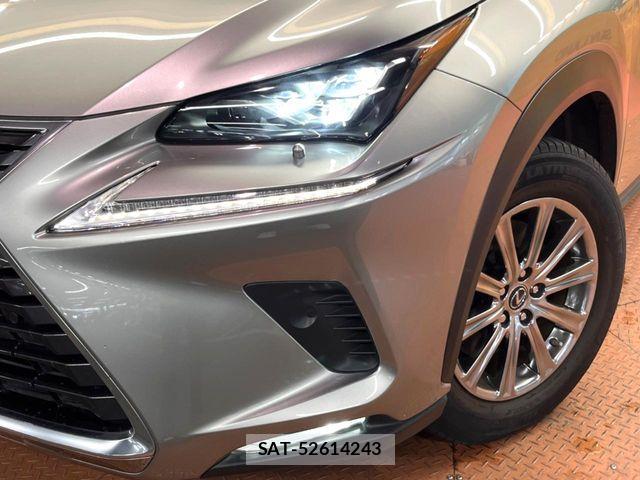 Lexus NX 2019-04 7877396-13