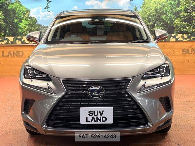 Lexus NX 2019-04 7877396-15