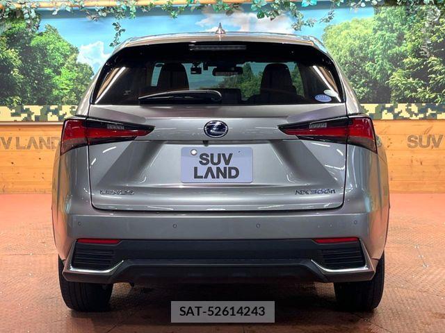 Lexus NX 2019-04 7877396-16