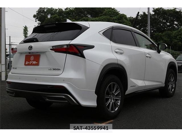 Lexus NX 2014-10 7877407-20