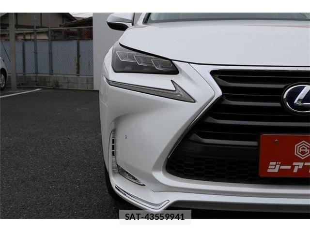 Lexus NX 2014-10 7877407-24