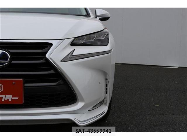Lexus NX 2014-10 7877407-25