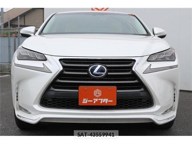 Lexus NX 2014-10 7877407-6