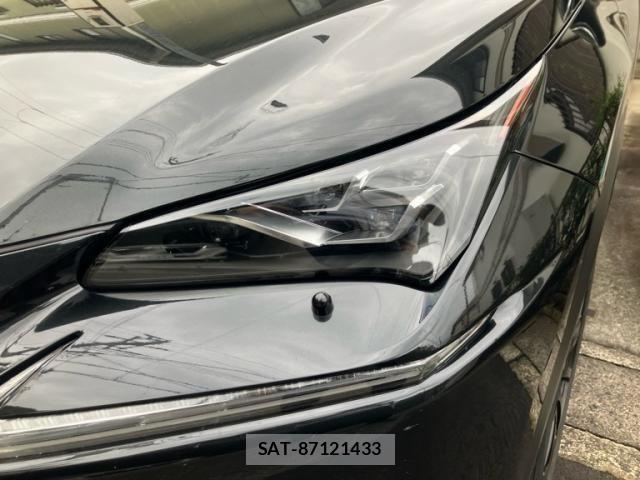 Lexus NX 2020-06 7877397-17