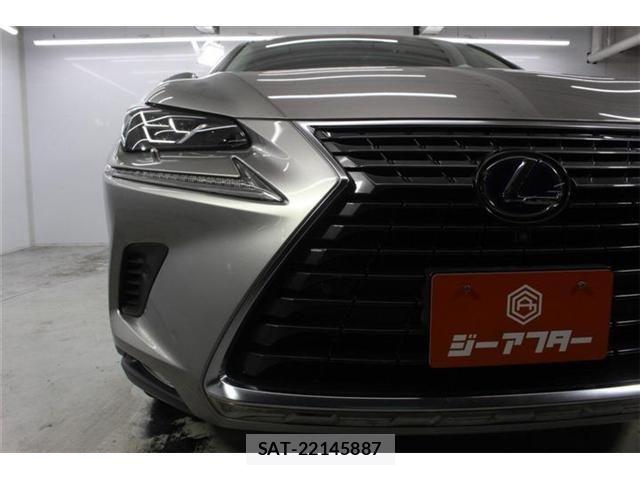 Lexus NX 2017-11 7877406-10