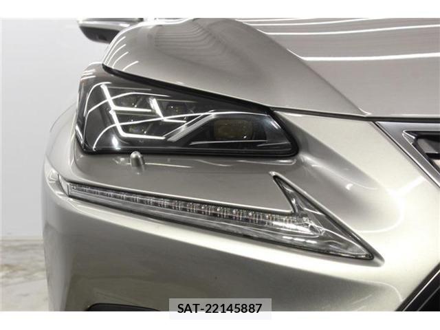 Lexus NX 2017-11 7877406-11