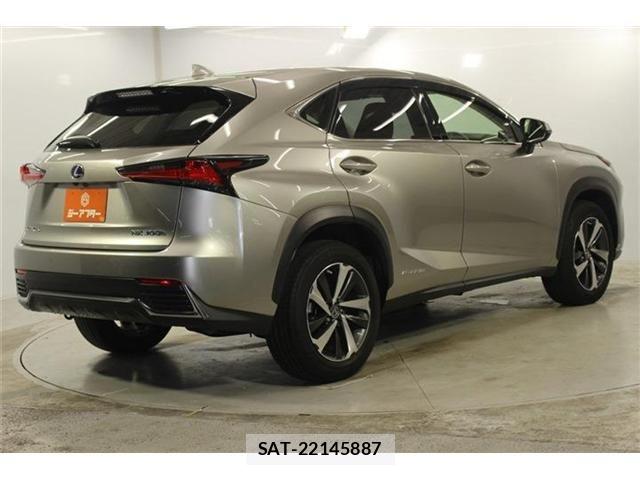 Lexus NX 2017-11 7877406-4