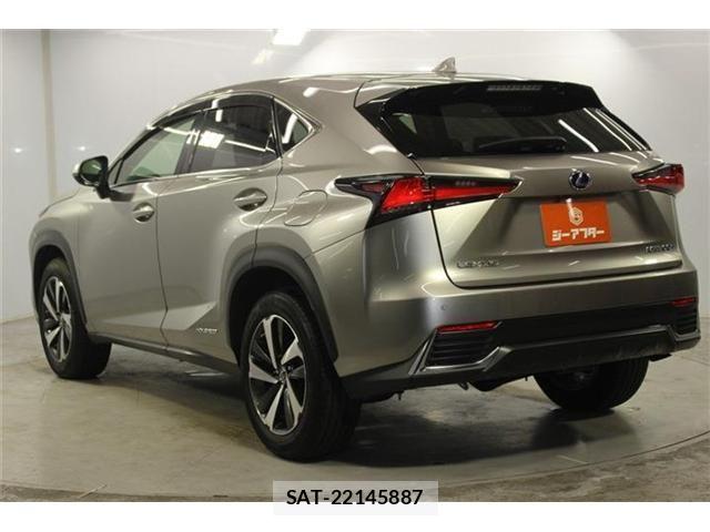 Lexus NX 2017-11 7877406-6