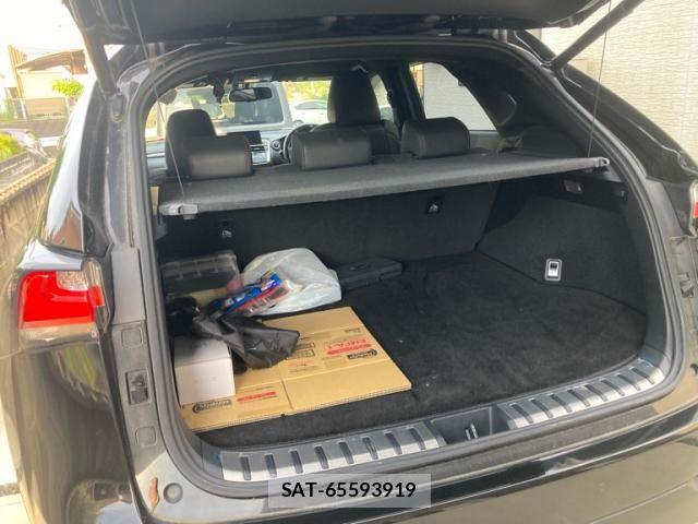Lexus NX 2015-01 7877405-16