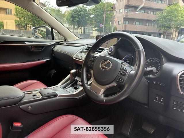 Lexus NX 2019-08 7877399-13