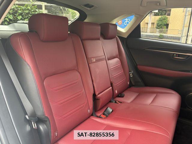 Lexus NX 2019-08 7877399-17