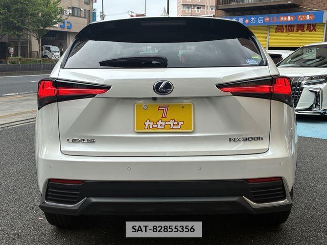 Lexus NX 2019-08 7877399-19