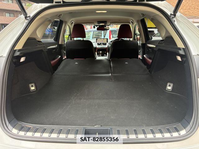 Lexus NX 2019-08 7877399-25