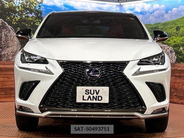 Lexus NX 2018-04 7877395-13