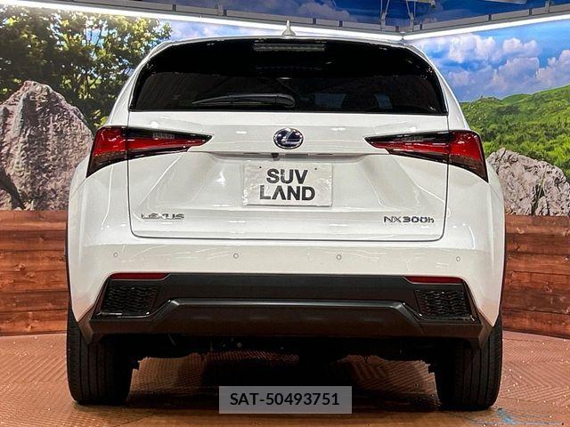 Lexus NX 2018-04 7877395-14