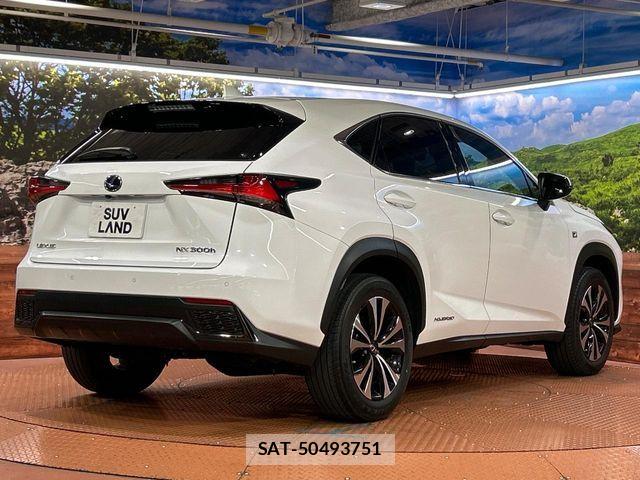 Lexus NX 2018-04 7877395-16