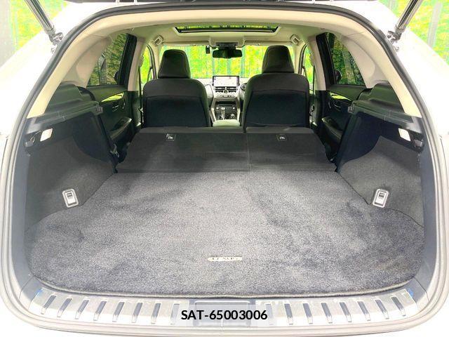 Lexus NX 2019-04 7902862-10