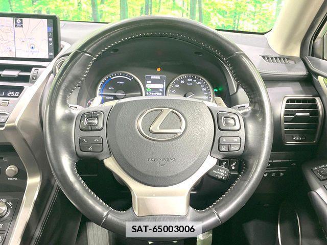 Lexus NX 2019-04 7902862-11