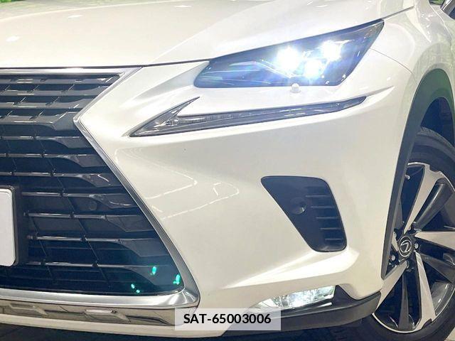 Lexus NX 2019-04 7902862-12