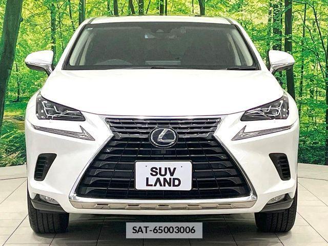 Lexus NX 2019-04 7902862-14