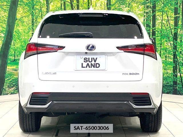 Lexus NX 2019-04 7902862-15