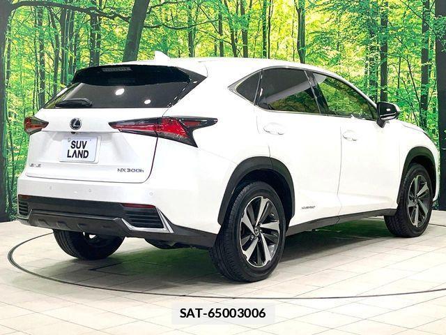 Lexus NX 2019-04 7902862-16