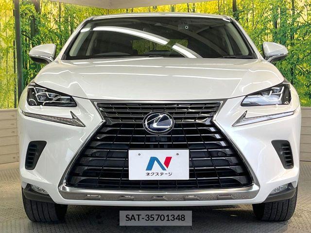 Lexus NX 2020-10 7962422-13