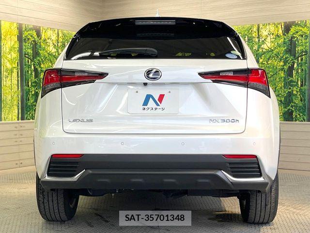 Lexus NX 2020-10 7962422-14